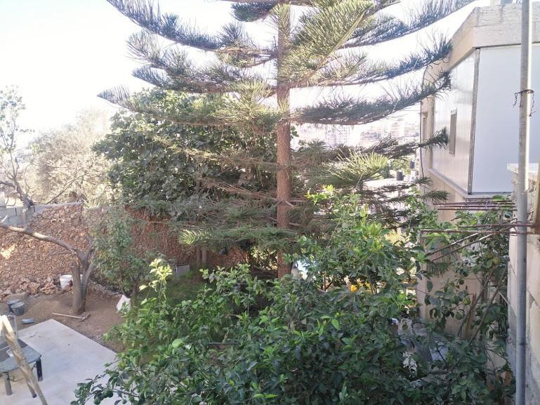 Aman Hostel Bethlehem Exterior photo